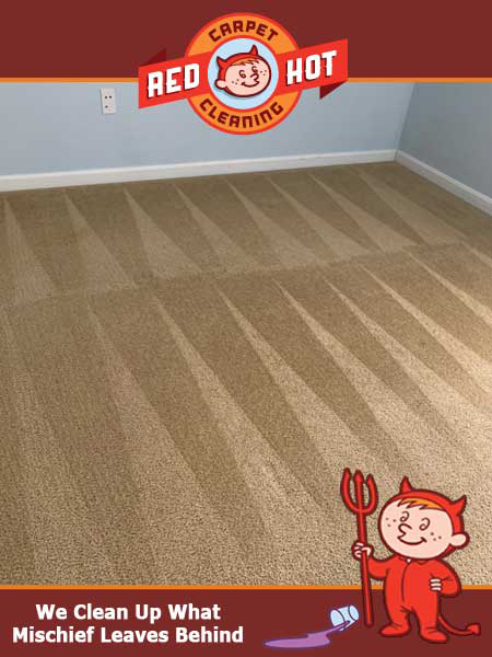 Carpet Cleaning State College PA Rental House