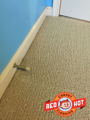 Soil Filtration Lines - State College - Red Hot Carpet Cleaning
