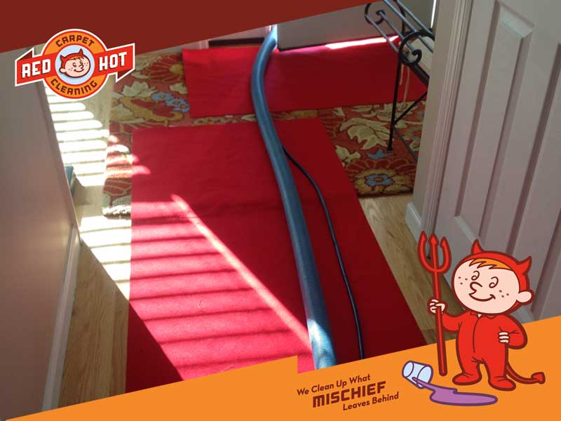 Red Hot Carpet Cleaning - Serving Central Pennsylvania including: State College PA, Bellefonte PA and most of Centre County