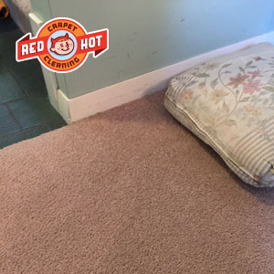 Blood Stain Removal - Carpet Cleaning - State College, PA