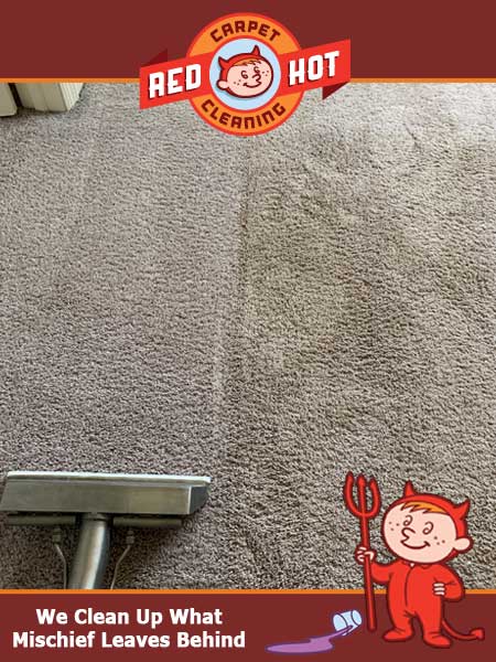 Photo Gallery  Red Hot Carpet Cleaning Before and After Pictures of Carpet Cleaning in the 
