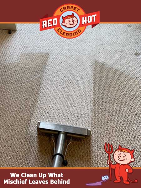 Carpet Cleaning Spring Mills PA Dirty Berber