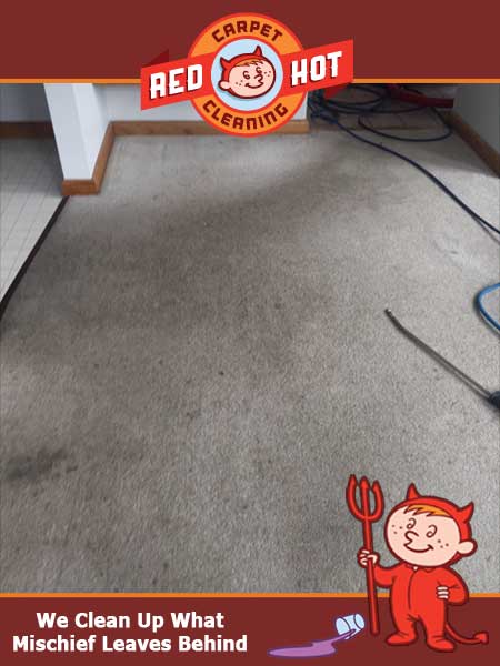 Carpet-Cleaning-State-College-Lillian-Circle