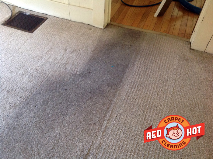 Dirty Apartment Cleaning - State College - Red Hot Carpet Cleaning