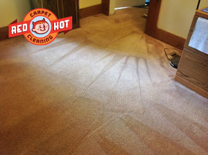 Carpet Cleaning Dog Pet Stains - Red Hot Carpet Cleaning - Central PA