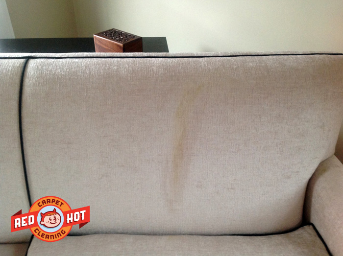Cat Urine Warranty Claim - State College - Red Hot Carpet Cleaning