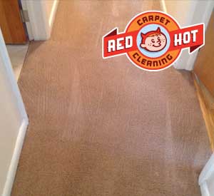 Pet Odor Stain Removal - Red Hot Carpet Cleaning - State College, PA