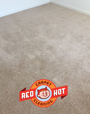 Pet Odor Stain Removal - Red Hot Carpet Cleaning - State College, PA